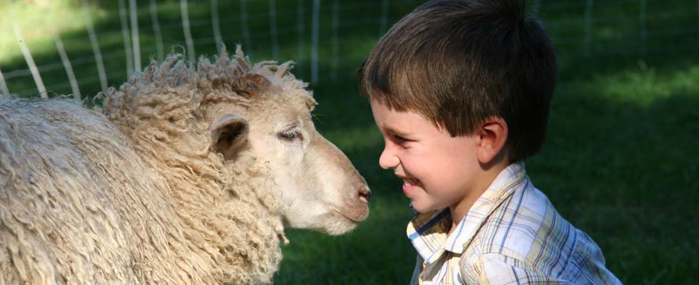 Truro Agricultural Fair