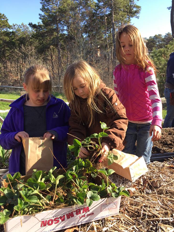 Sustainable Cape Meet the Farmer