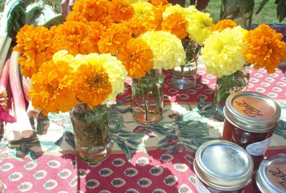 Flowers and Food: Truro Agricultural FairSTYLE CARROT