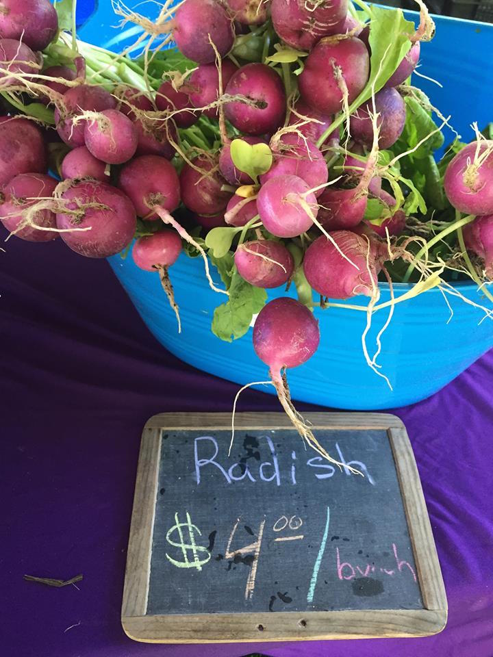 Sustainable Cape Farmer's Market 2016