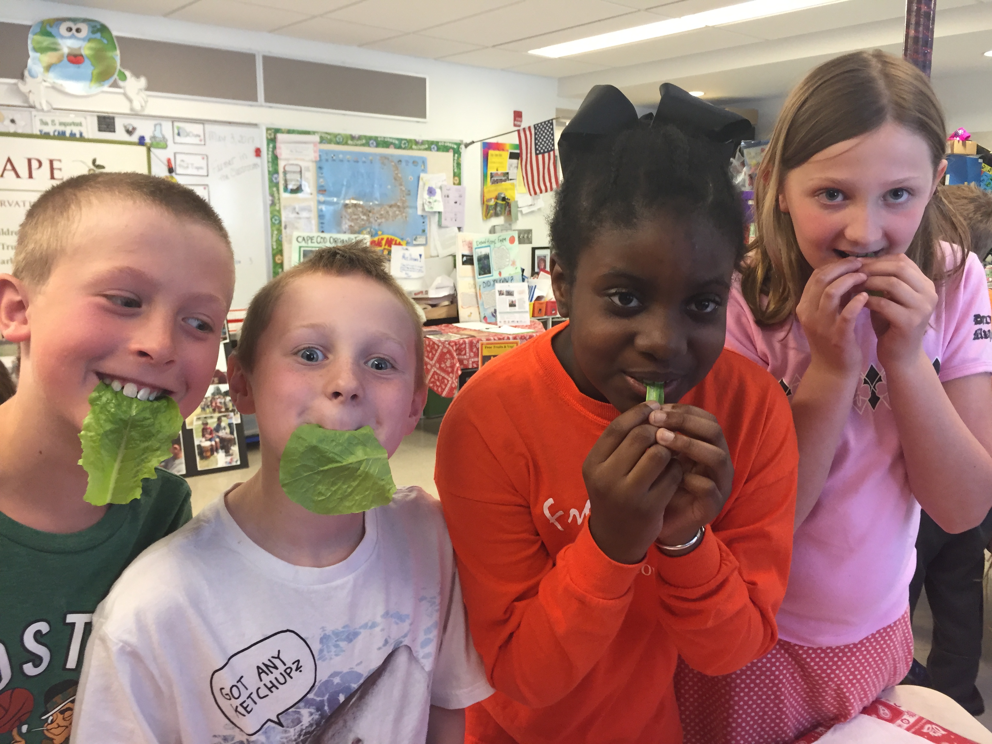 Kids eating lettuce