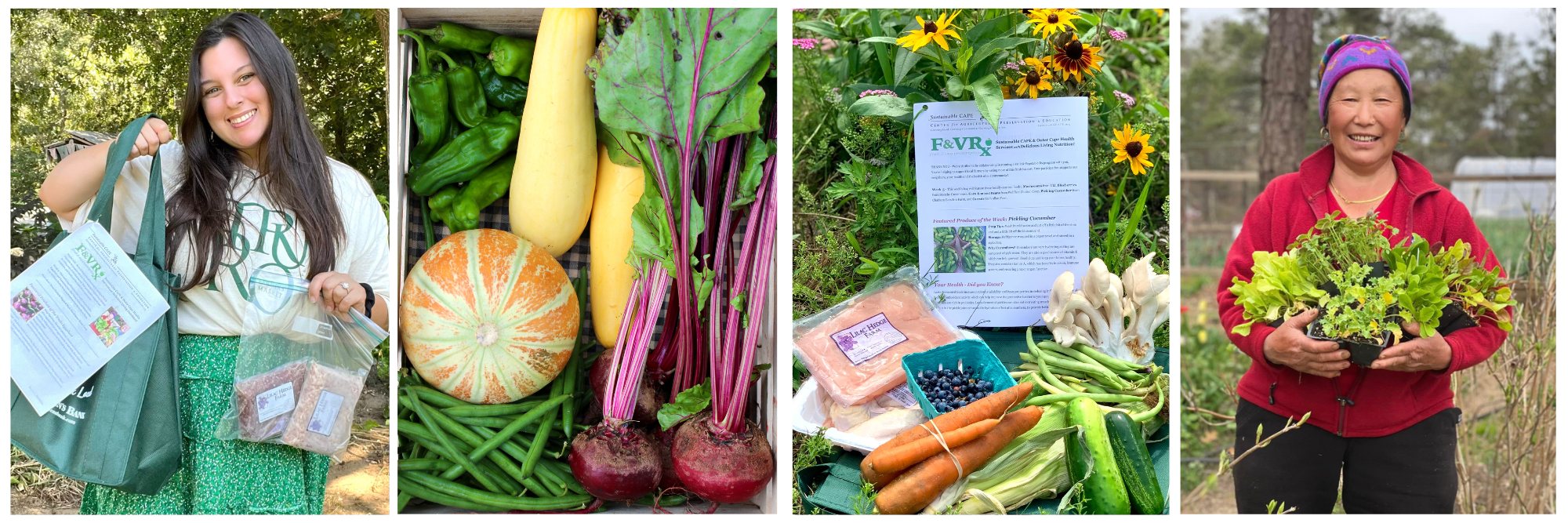 Food is Medicine Website Banner 3